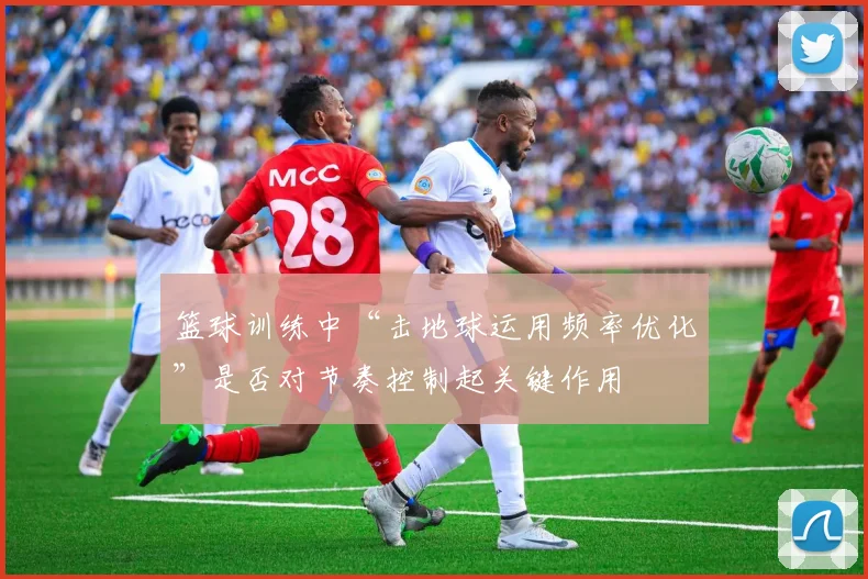 篮球训练中“击地球运用频率优化”是否对节奏控制起关键作用