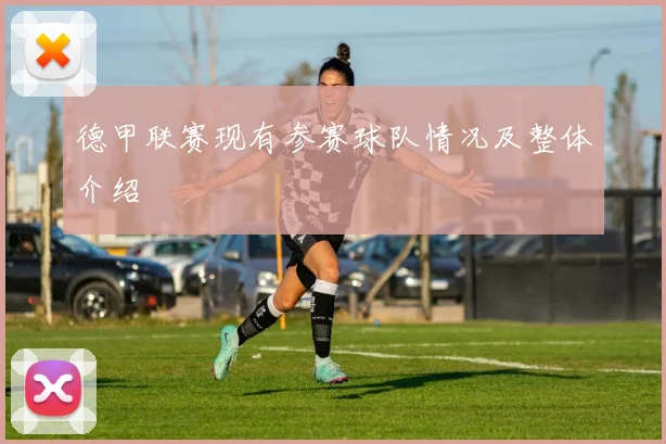 德甲联赛现有参赛球队情况及整体介绍