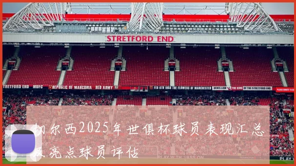 切尔西2025年世俱杯球员表现汇总及亮点球员评估