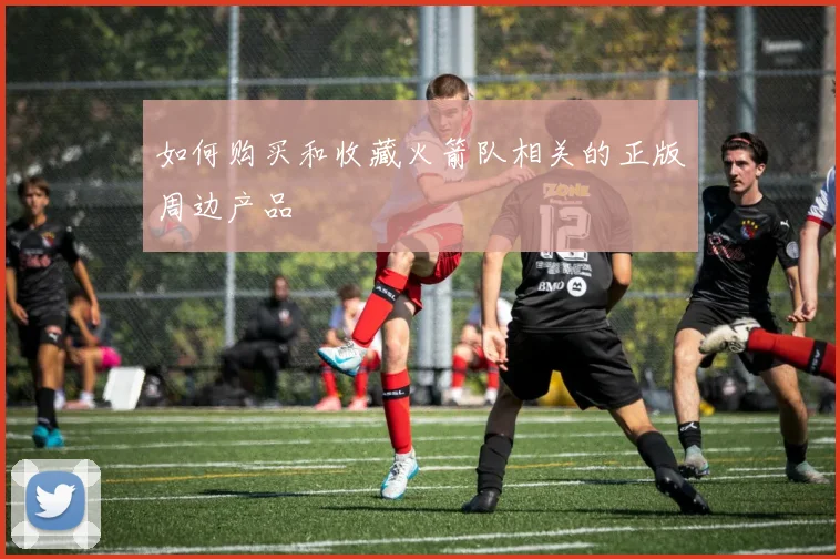 如何购买和收藏火箭队相关的正版周边产品