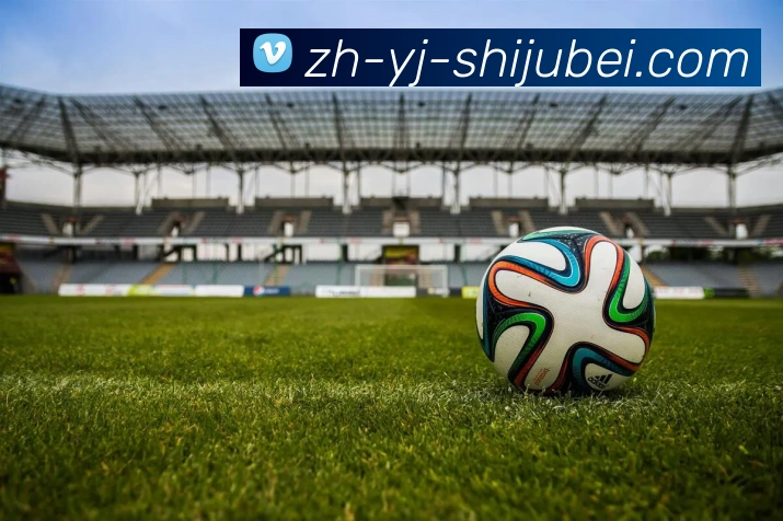 世界杯赛程表平台生态图